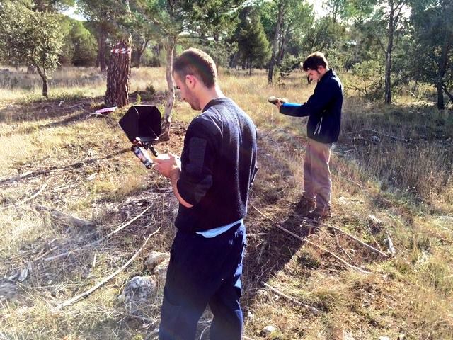 operador Überbaum pino piñonero operador Überbaum pino piñonero